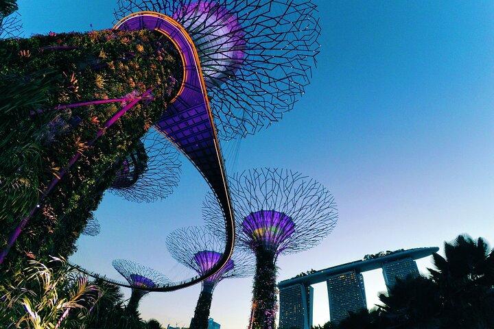 Privat nat tur i Singapore kulturarv