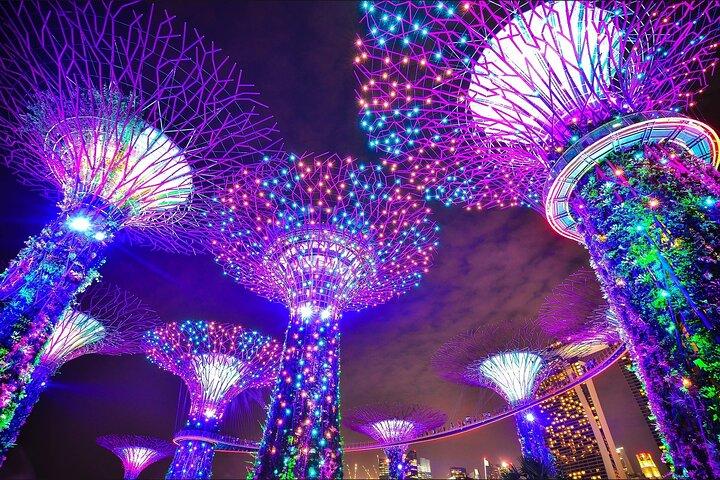 Privat nat tur i Singapore kulturarv