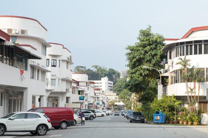Tour privado de descubrimiento cultural por el Singapur histórico