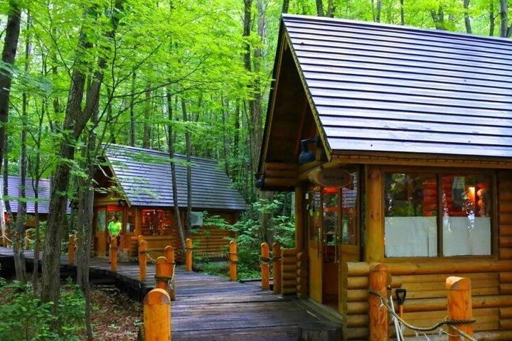 北海道旭山動物園・美瑛＆ニングルテラス日帰りツアー｜北海道