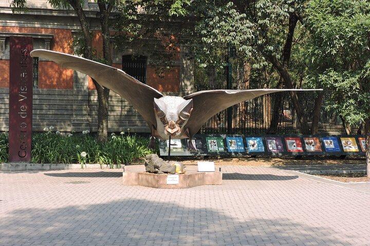 Bike tour in the Chapultepec Forest and Roma Condesa