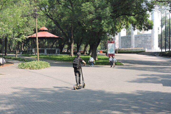 Bike tour in the Chapultepec Forest and Roma Condesa
