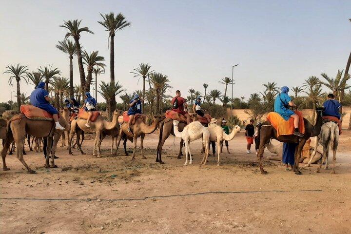 Sunset or Morning Private Camel Ride in Marrakech Palmeraie
