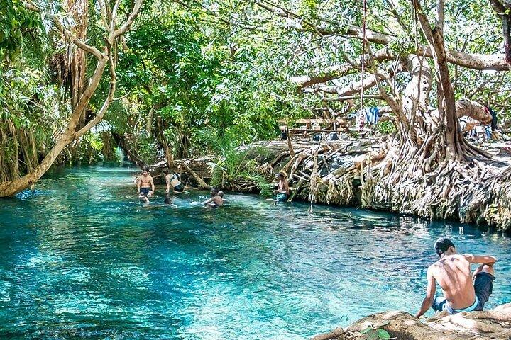 Materuni Waterfall, Coffee Farm Tour og Kikuletwa Hot Spring