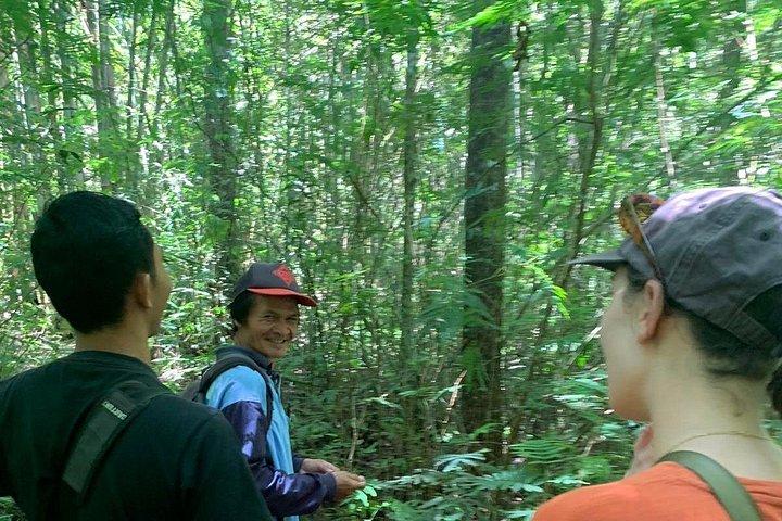 Yogyakarta Countryside Walking Tour
