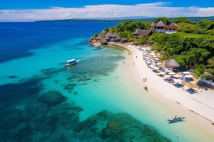 Observation des requins-baleines de Cebu avec visite de l'île de Sumilon