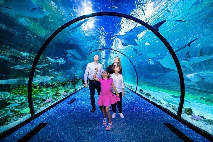 Abu Dhabi National Aquarium Ticket with Optional Transportation