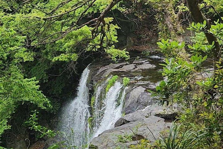 ユネスコヨットクルーズを含む済州島豪華プライベートツアー