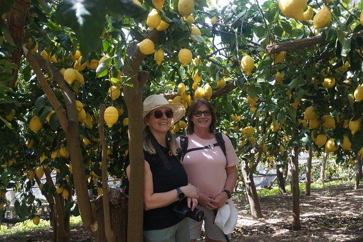 Amalfi Coast Trekking & Positano Amalfi Ravello Maiori - 4 días