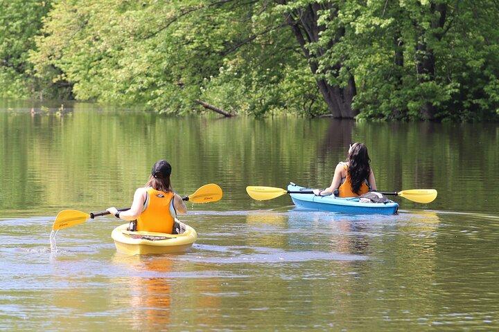 Tour en kayak por la reserva ecológica de Ottawa con avistamientos de TORTUGAS