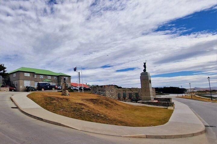 Falklandsöarna Delad rundtur Sightseeing med pingviner