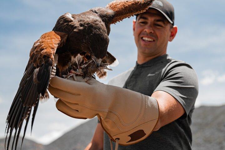 Ervaar roofvogels en valkerij in Reno