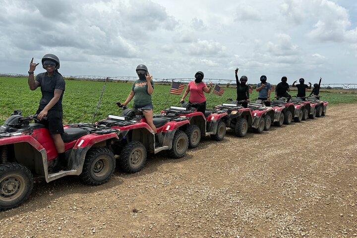 Visites en VTT de 1 heure