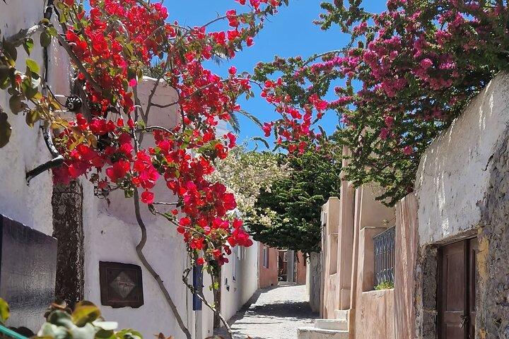 Tour Panorámico de 3 horas a Oia