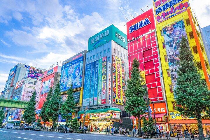 歴史からサブカルチャーまで：秋葉原と上野の必見ツアー！