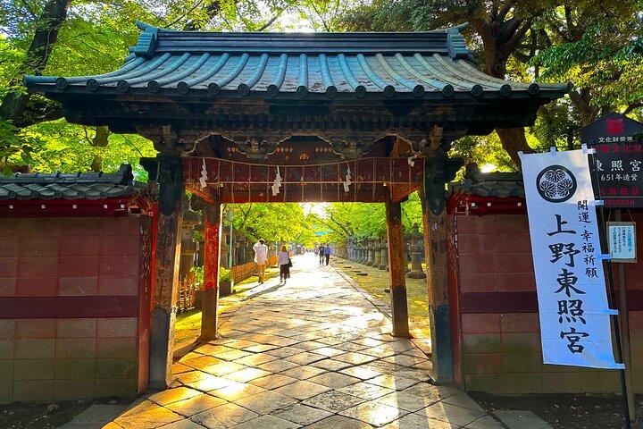 歴史からサブカルチャーまで：秋葉原と上野の必見ツアー！
