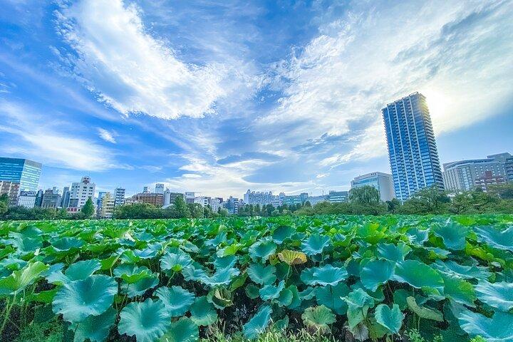歴史からサブカルチャーまで：秋葉原と上野の必見ツアー！