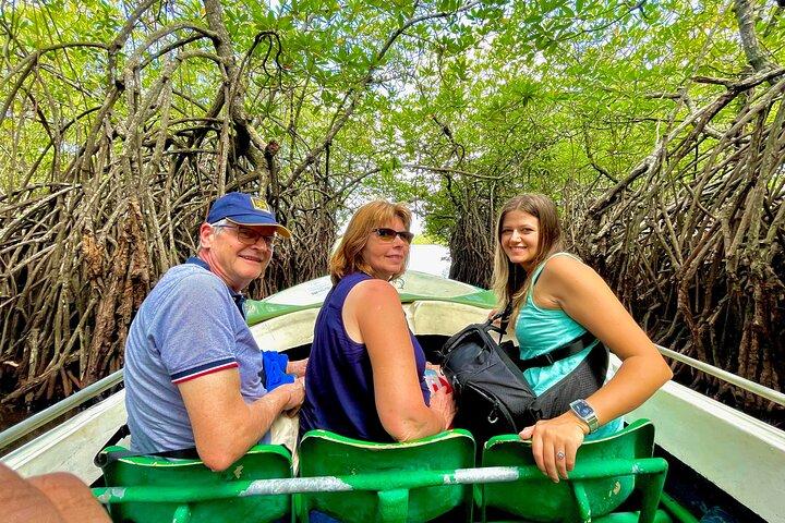 2h Madu River Safari : Mangrove, Zimtinsel & buddhistischer Tempel