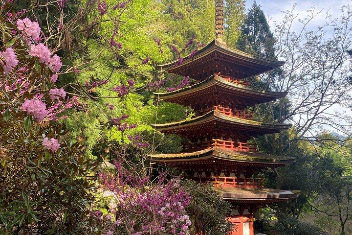 Excursions d'une journée de luxe exclusives à Serene Nara
