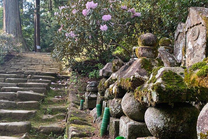 Excursions d'une journée de luxe exclusives à Serene Nara