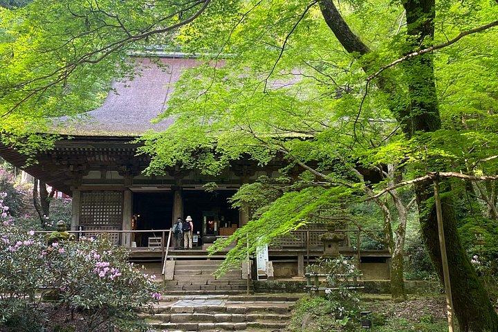 贅沢な一日ツアー 静かな奈良