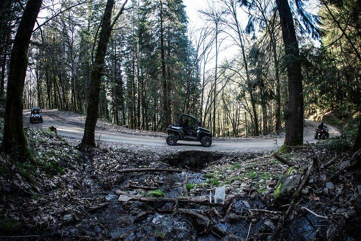 Buggy Tour in Serra da Lousã 2Hours