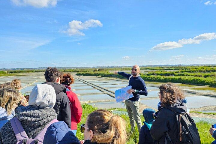 Besuch der Salzwiesen von Saline – Guérande