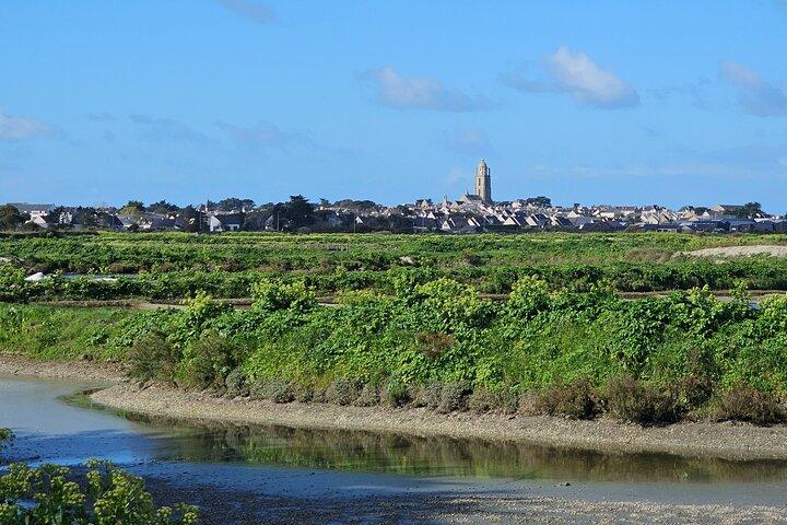 Besuch der Salzwiesen von Saline – Guérande