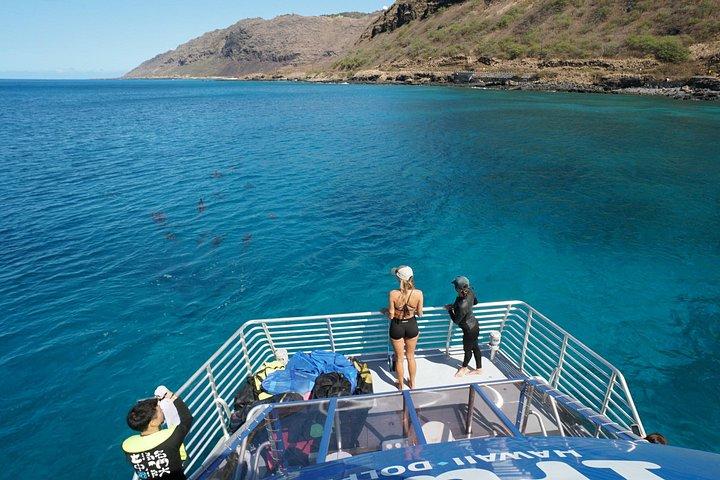 Swim with Dolphins Catamaran with Waterslide & Lunch on Oahu