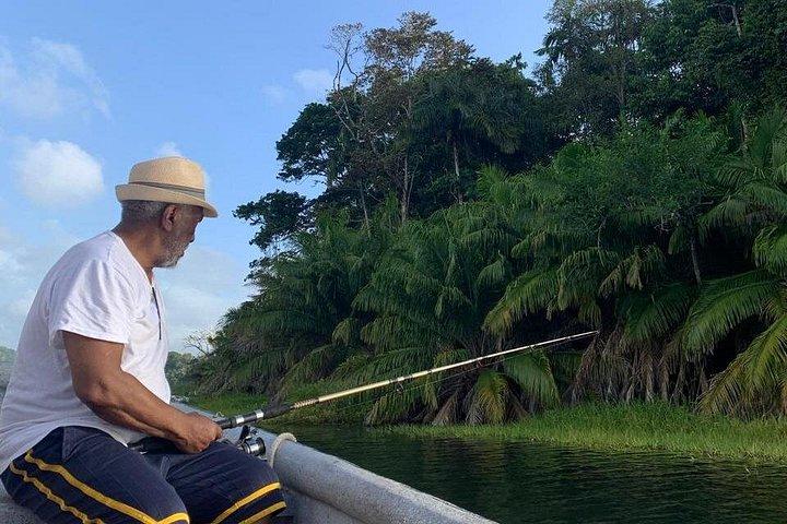 The Panama Canal: Kingfisher Experience Private Tour