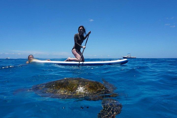 Swim with Dolphins Catamaran with Waterslide & Lunch on Oahu