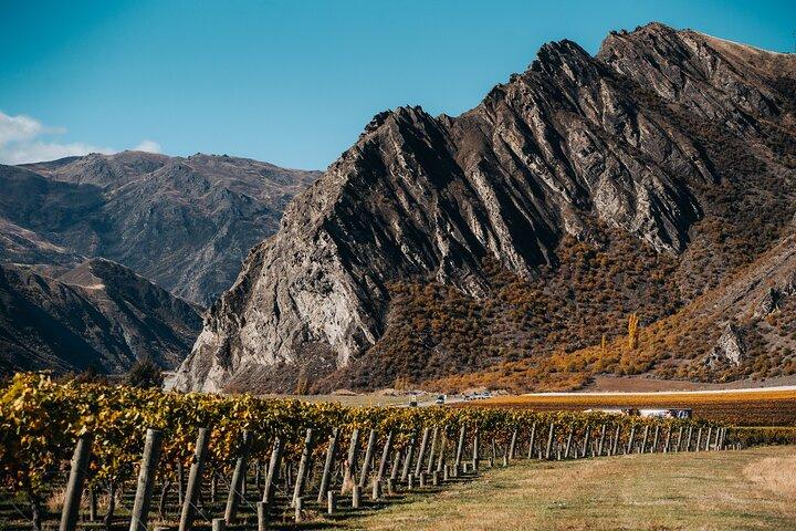 Taste of Gibbston Private Wine Tour saindo de Queenstown e retorno.
