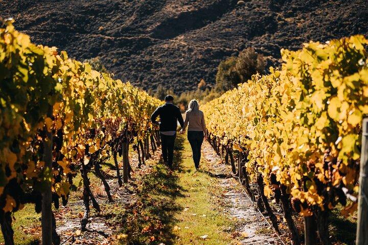 Small Batch Private Wine Experience i Gibbston, Queenstown.