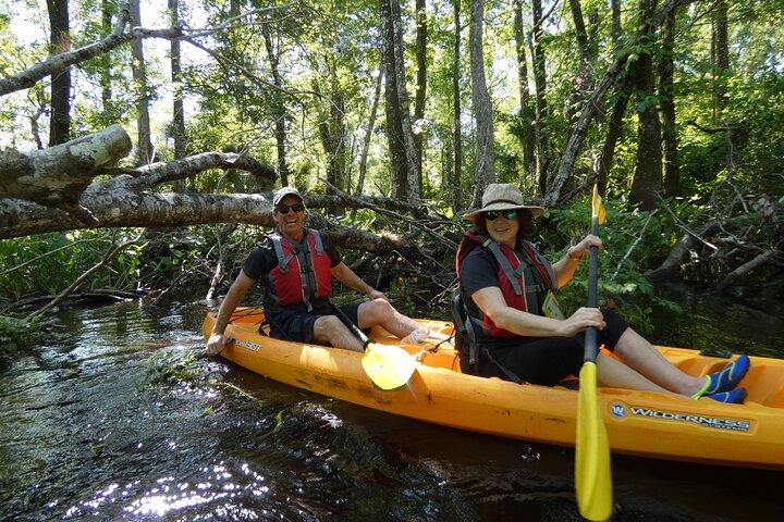Exklusives Kajak-Abenteuer in der Natur auf dem Blackwater Creek