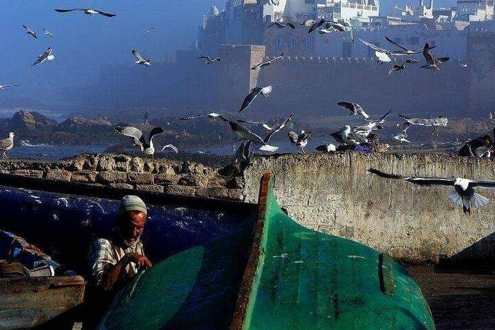 Marrakech: day trip to Essaouira beautiful the historique