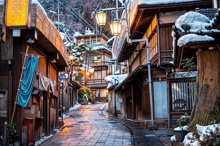 Fra Tokyo: Privat Snow Monkey Day Trip til Nagano