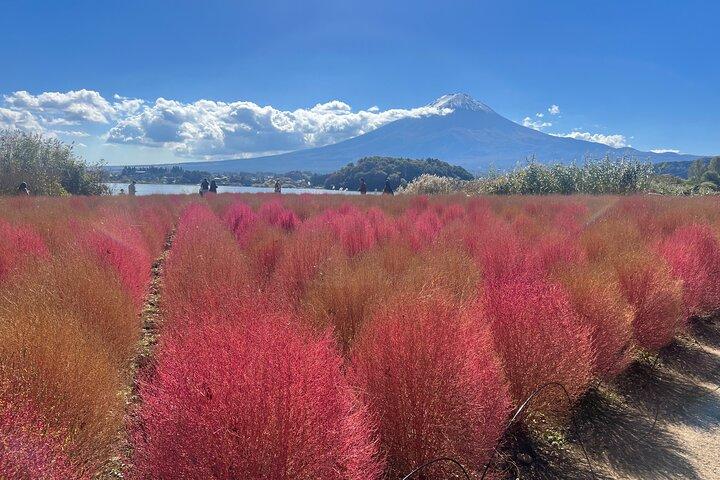 Private Full Day Tour in Mt. Fuji with Pickup