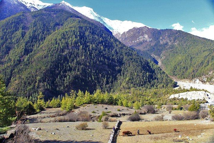 12 Days Annapurna Circuit Trek from Kathmandu