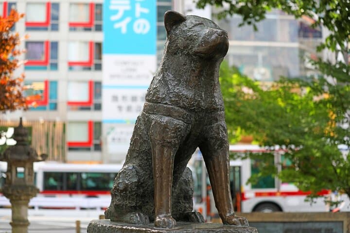 Tokyo Shibuya Crossing & Hidden Streets Walking Tour