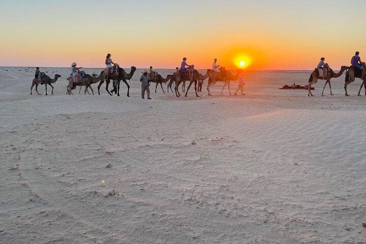 Expedição Dromedário com Noite em Acampamento e Sandboard