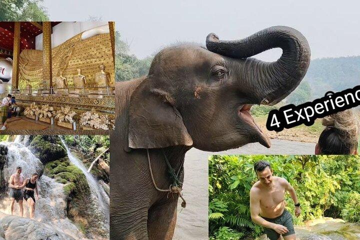 Elephants Sanctuary, Sticky watervallen, lokale markt, tempel.