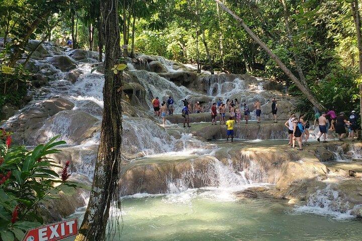 Dunn's River Falls Half Day Tour From Montego Bay