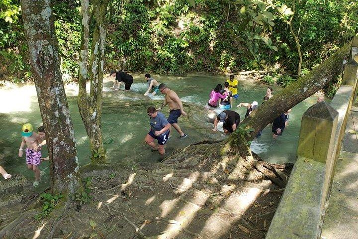 Dunn's River Falls Half Day Tour From Montego Bay
