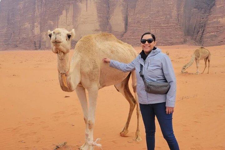 Tour de 3 días desde Ammán: Jerash, Ajloun, Petra, Wadi Rum y MAR Muerto