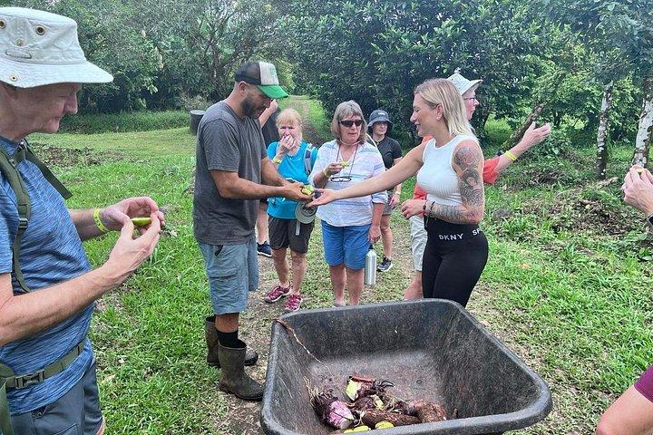 Organic Farm Tour, Tropical Fruit Tasting & Cooking Class