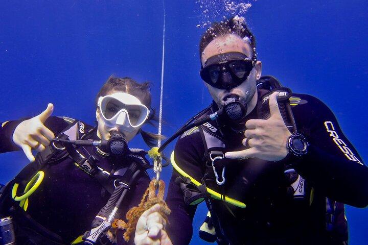 Try Scuba Diving on Kaua’i with Sea Turtles