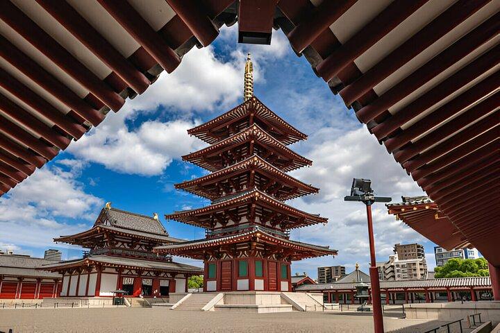 Osaka Private Tour mit englischsprachigem Fahrer