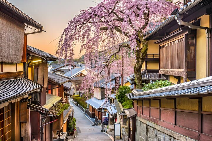 10 Day Japan Private Tour Unveiling Maximum Attractions