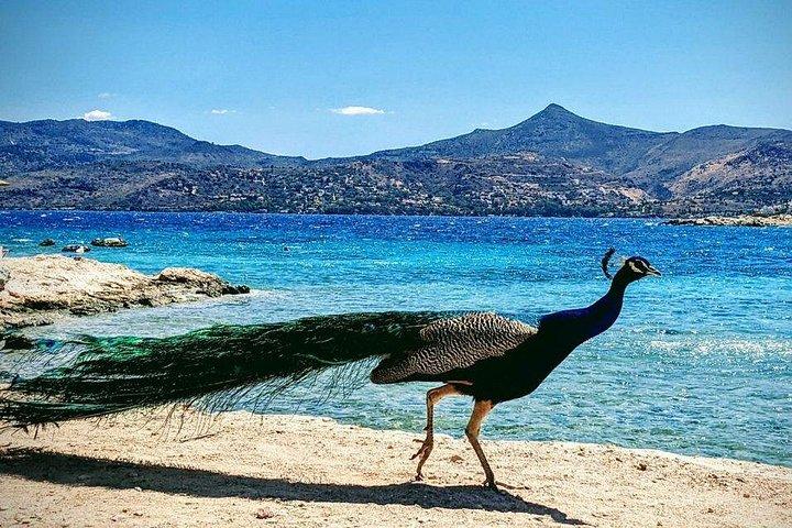アンギストリ、アイギーナ、モニへのプライベートボート日帰り旅行