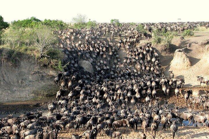14 giorni Safari in campeggio in Kenya e Tanzania da Nairobi